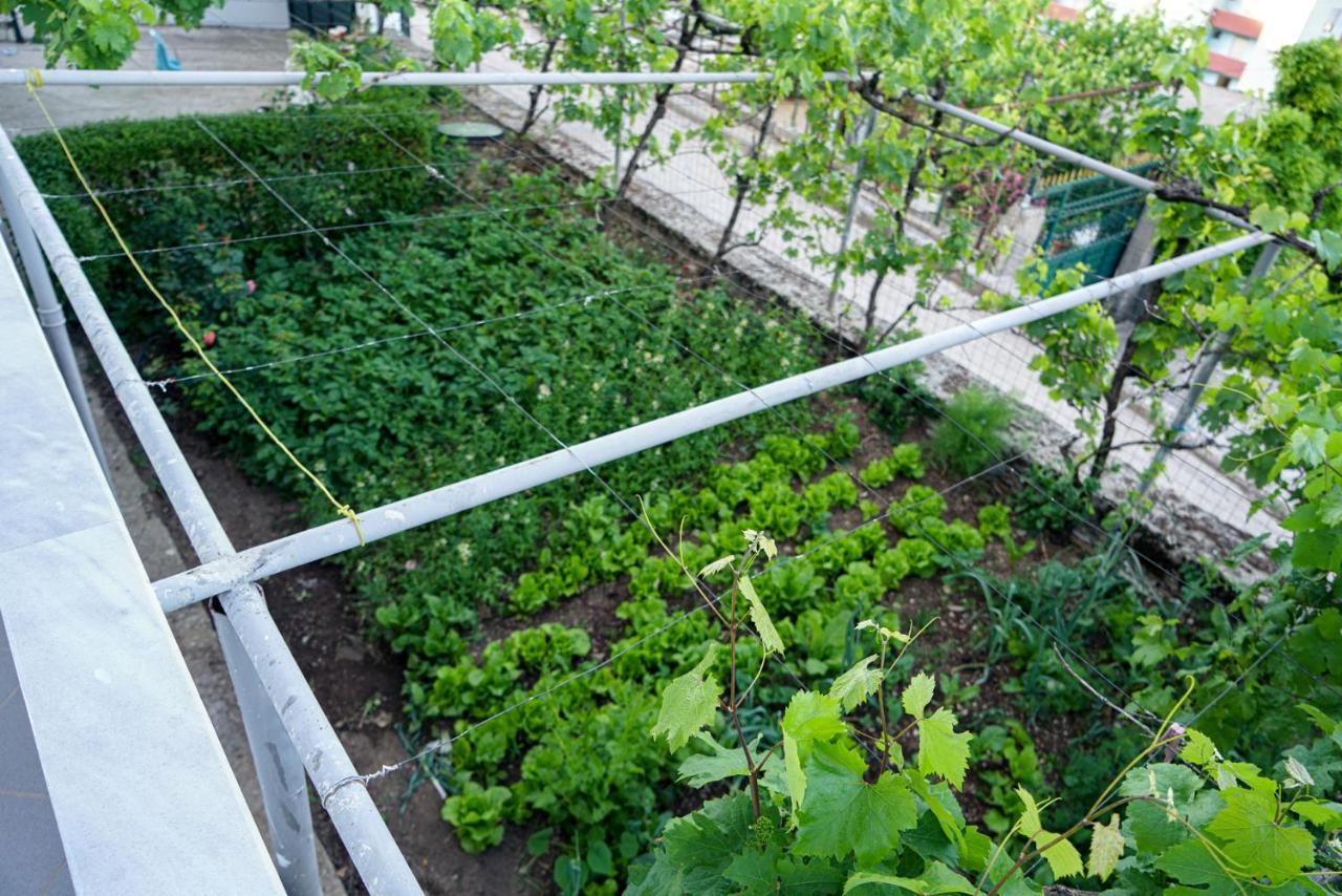 Patio Rooms จีโรคาสเตอร์ ภายนอก รูปภาพ